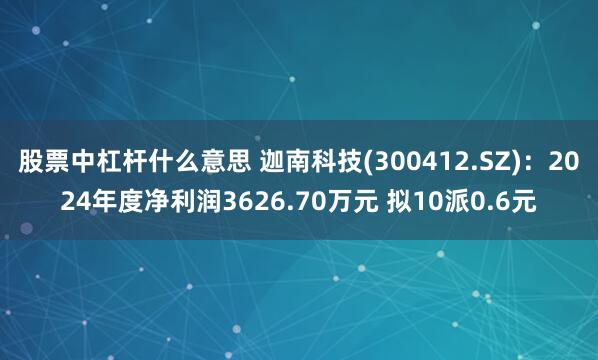 股票中杠杆什么意思 迦南科技(300412.SZ)：2024年度净利润3626.70万元 拟10派0.6元