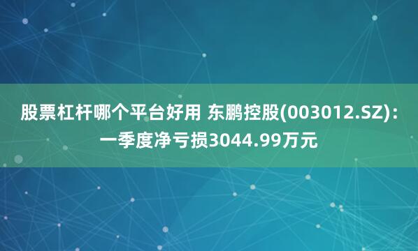 股票杠杆哪个平台好用 东鹏控股(003012.SZ)：一季度净亏损3044.99万元