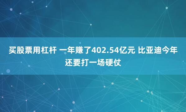 买股票用杠杆 一年赚了402.54亿元 比亚迪今年还要打一场硬仗
