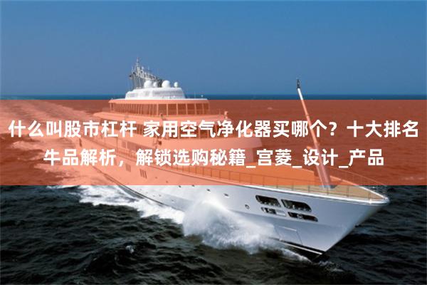 什么叫股市杠杆 家用空气净化器买哪个？十大排名牛品解析，解锁选购秘籍_宫菱_设计_产品